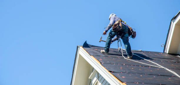 Best New Roof Installation  in Storrs, CT